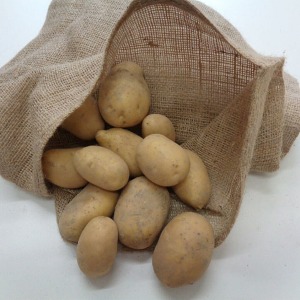 Bio-Kartoffeln - Goldmarie festk. - Biohof Rietzler